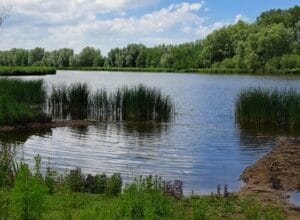 Arenberghoeve B&B Kieldrechtse Kreek wandelroute