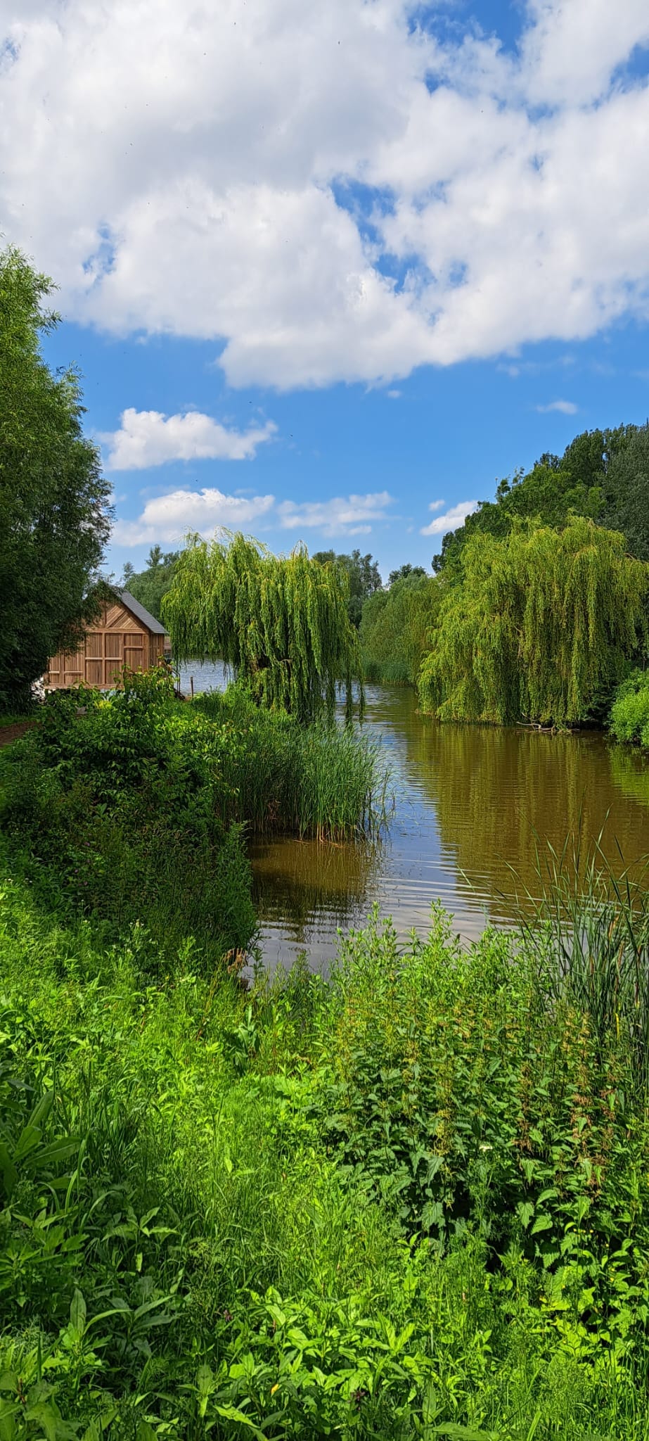 Wandern durch die Polder der Region Waas: Der Wanderweg „Kieldrechtse Kreek“