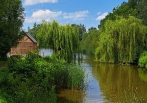 Arenberghoeve B&B boothuis wandeling