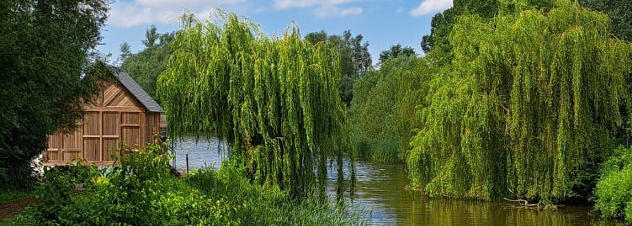 wandeling aan de kreek